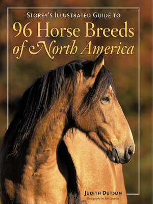 cover image of Storey's Illustrated Guide to 96 Horse Breeds of North America